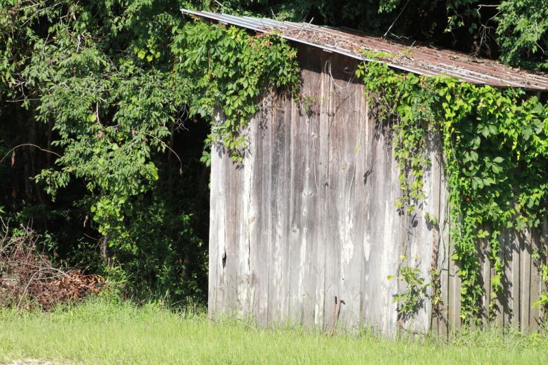 Shed Demolition detail